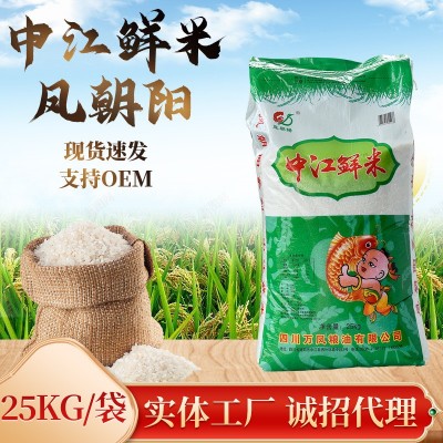 凤朝阳中江鲜米25kg袋装大米 饭店食堂用长粒香大米50斤批发图3
