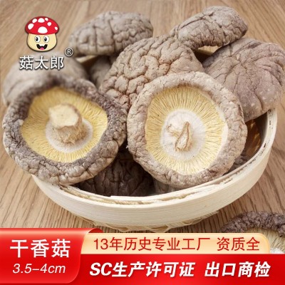 南阳特产农副产品冬菇农产品菌菇 出口欧盟 源头厂家香菇干货批发