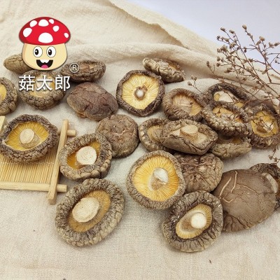 南阳特产农副产品冬菇农产品菌菇 出口欧盟 源头厂家香菇干货批发图3