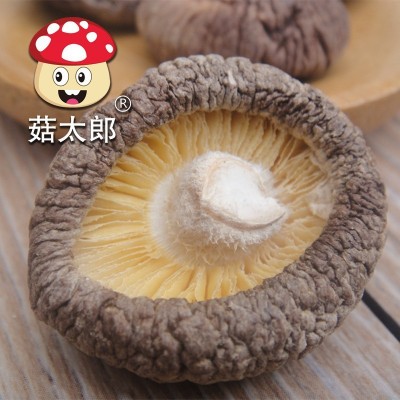 南阳特产农副产品冬菇农产品菌菇 出口欧盟 源头厂家香菇干货批发图4