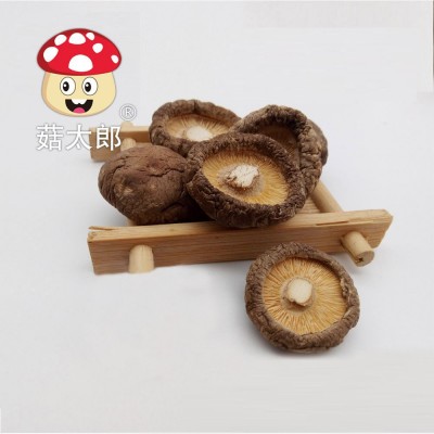 袖珍菇批发价 西峡干香菇 产地批发 冬菇 干椎茸1.5-2CM图5