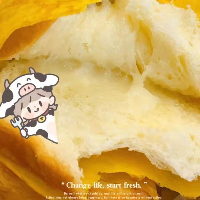 宏途小饿小满足蛋皮奶心吐司2箱*520g宏途蛋皮奶心吐司面包图4