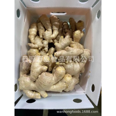 出口姜，出口保鲜姜，出口生姜，鲜姜图4