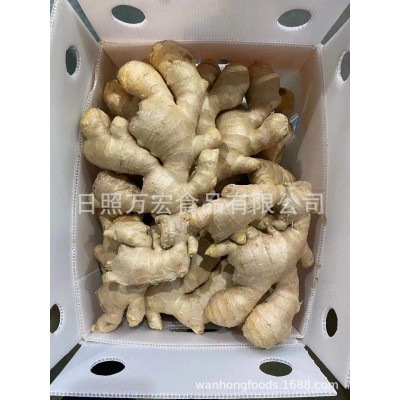 出口姜，出口保鲜姜，出口生姜，鲜姜图5