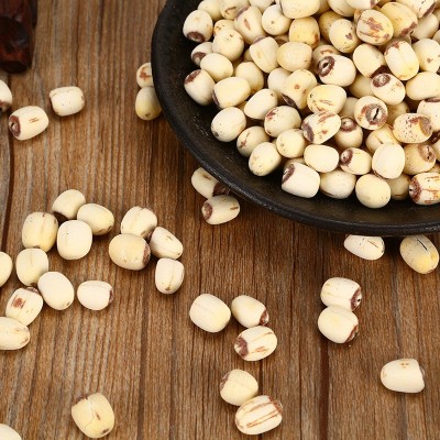 莲子干带芯小白莲散装白莲子干货熬粥煲汤湘潭工厂500g白 莲子批发图5