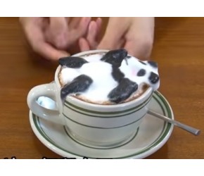 超可爱的立体熊猫奶泡咖啡，这小熊猫做出来真是不容易啊！