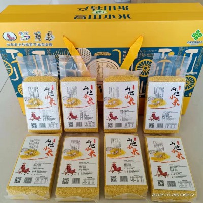 临朐五谷杂粮粗粮黄小米 农家新小米月子宝宝熬粥 厂家支持批发图3