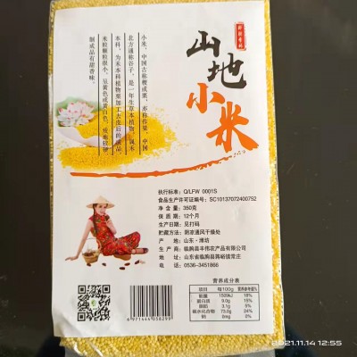 临朐五谷杂粮粗粮黄小米 农家新小米月子宝宝熬粥 厂家支持批发图4