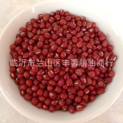 珍珠粒红小豆 红豆粒小红豆 超市农贸新货红小豆批发图3