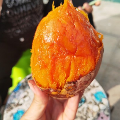 红皮红心烟薯25地瓜坊专用烤地瓜专用大量批发图2