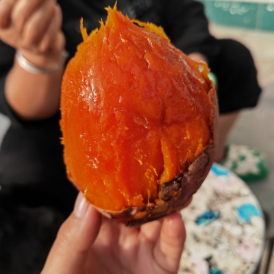 红皮红心烟薯25地瓜坊专用烤地瓜专用大量批发图5