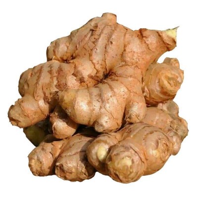 云南小黄姜老姜母1年老姜调味农家种植新鲜蔬菜9斤包邮一件代发图5