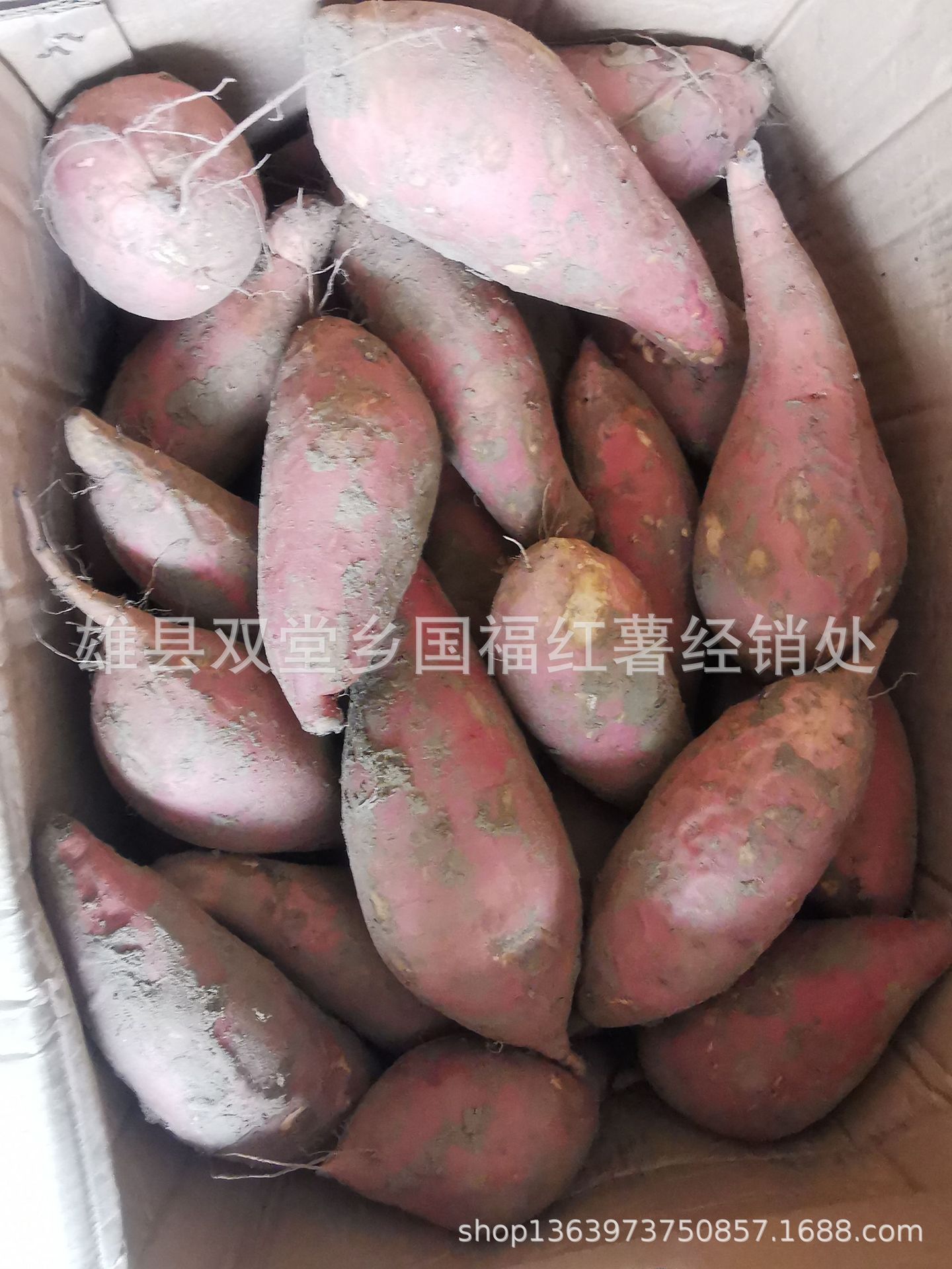 微信图片_202111272158451