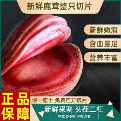 鲜鹿茸 工厂直销鹿茸批发 吉林鲜鹿茸价格 东北鹿茸批发定制图2
