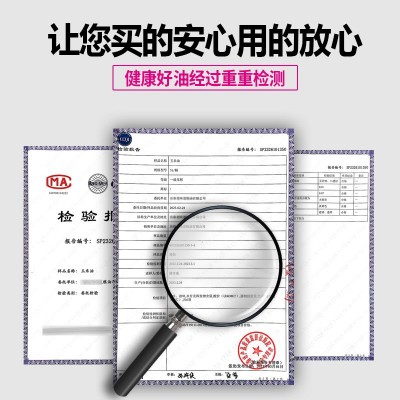 非转基因玉米油5L一级压榨工艺 纯玉米油全国整桶图4