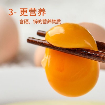 燕留香含硒营养鲜鸡蛋更营养更适合宝宝吃的鸡蛋图3