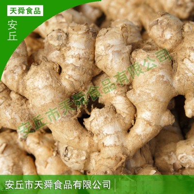 小黄姜沙姜出口批发山东生姜新鲜老姜现挖干大姜月子姜蔬菜嫩姜块