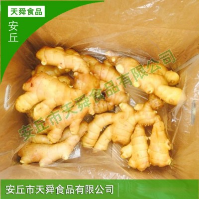小黄姜沙姜出口批发山东生姜新鲜老姜现挖干大姜月子姜蔬菜嫩姜块图4