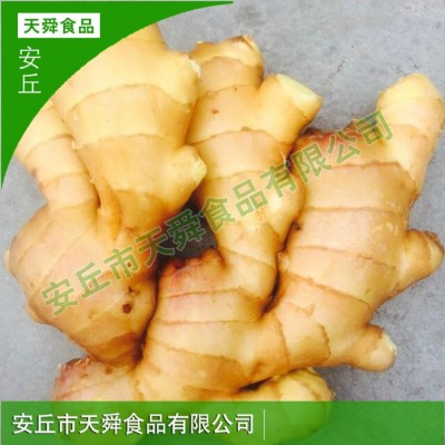 可做调味品保鲜姜老姜母批发工厂直供新鲜蔬菜大黄姜生姜月子姜图4