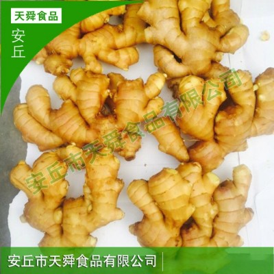 可做调味品保鲜姜老姜母批发工厂直供新鲜蔬菜大黄姜生姜月子姜图5