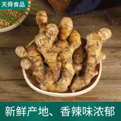 姜出口山东大姜现货现发 生姜批发 面姜 厂家批发老姜嫩姜泥黄姜