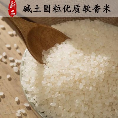 玉甄香 新米江苏大米5kg软香粳米5055珍珠米10斤会销礼品厂家直销图4