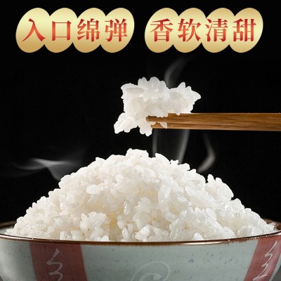 【巴爱】粳米江苏大米10kg南粳5055珍珠大米20斤厂家直销一件代发图4