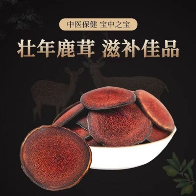 鹿场直发梅花鹿茸干鹿茸片长白山吉林鹿茸血片鹿产品批发泡酒药材图3