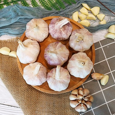 干大蒜白皮辛辣蒜香浓郁颗粒饱满图5