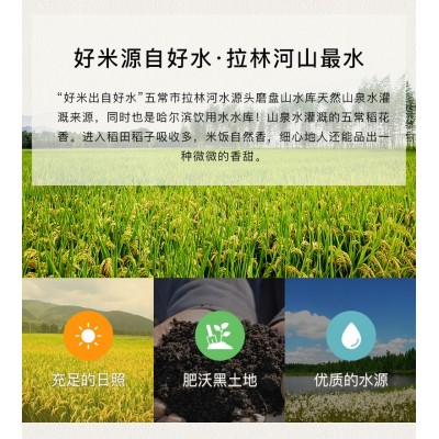 杜府粮源五常大米原粮稻花香二号大米5kg 产地直供图5