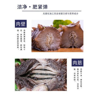 大连特产辽刺参500g速冻真空即食海参水产批发火锅食材海参散装图5