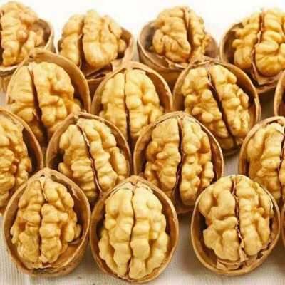 新疆特产185薄皮核桃500g 新货阿克苏大颗坚果零食手剥纸皮生核桃