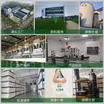 【2023新粮批发】员工福利一件代发大米5kg 长粒香米10斤装丝苗米图3