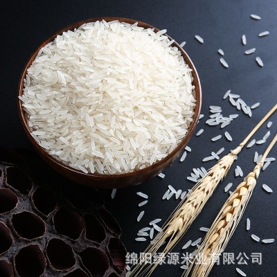 【2023新粮批发】员工福利一件代发大米5kg 长粒香米10斤装丝苗米图4