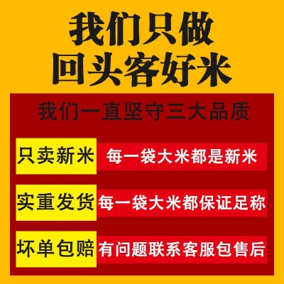 【2023新粮批发】员工福利一件代发大米5kg 长粒香米10斤装丝苗米图2