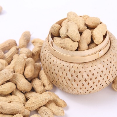 黑花生果 现货批发 人工手选 优质饱满绿色带壳花生果 农家花生图3