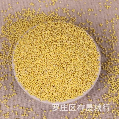 批发大黄米 黍子米 东北大黄米 粽子 糕点 食品原料大黄米图5