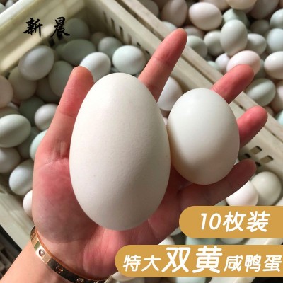 北部湾咸鸭蛋工厂红树林散养烤海鸭蛋起沙流油北海特产批发整箱图5