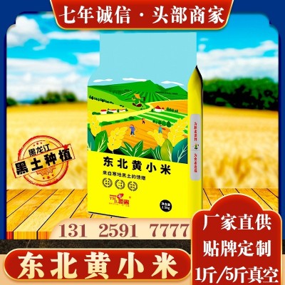 东北黑土种植黄小米500克5斤真空五谷杂粮粗粮新米小米粥厂家批发
