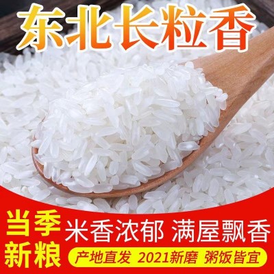 【2023新米】东北大米长粒香10斤20斤 大米5kg 当季新米厂家批发图4