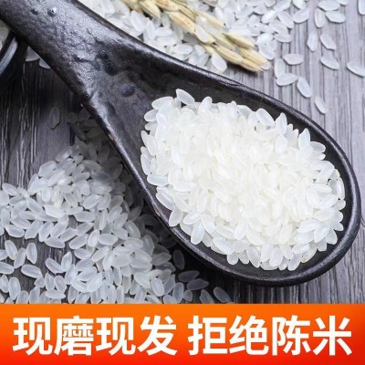 【2023新米】东北大米长粒香10斤20斤 大米5kg 当季新米厂家批发图5