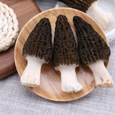 产地一件批发新鲜羊肚菌四川特产非云南香格里拉煲汤食材菌菇蘑菇