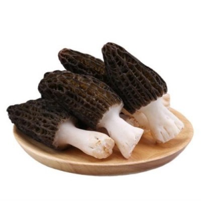 产地一件批发新鲜羊肚菌四川特产非云南香格里拉煲汤食材菌菇蘑菇图5