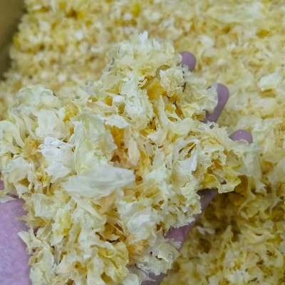 古田特产银耳碎黄金糯耳丑耳碎莲子羹原料无根叶片食用菌产地批发