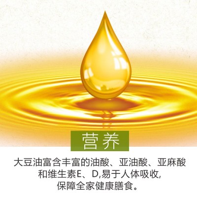 大荒荟萃一级大豆色拉油5升 东北非转基因食用油批发包邮代发图2