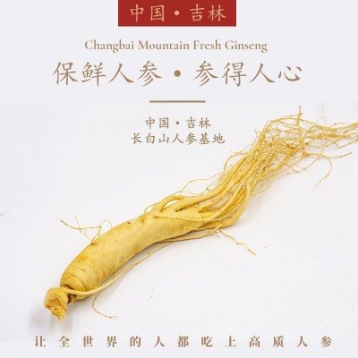 长白山新鲜人参批发厂家直销东北土特产保鲜参煲汤火锅地摊泡酒参图2