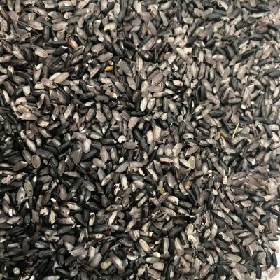 东北特产黑粥米5kg 黑龙江大米当季新米十斤装米会销礼品一件代发图5