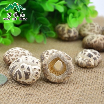 湖北特产白花菇随州香菇干花菇500G图5