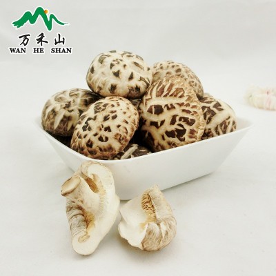湖北特产白花菇随州香菇干花菇500G图3