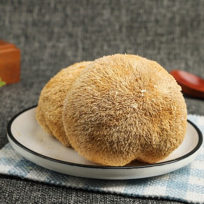 万传鲜食用菌干货 古田特产猴头菇 养胃煲汤食材菌菇厂家代发批发图2
